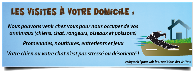 visites a domicile