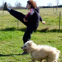 ToutouNounou pension canine